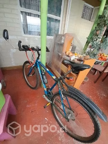 Bicicleta