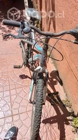 Bicicleta oxford