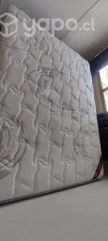 Cama Rosen