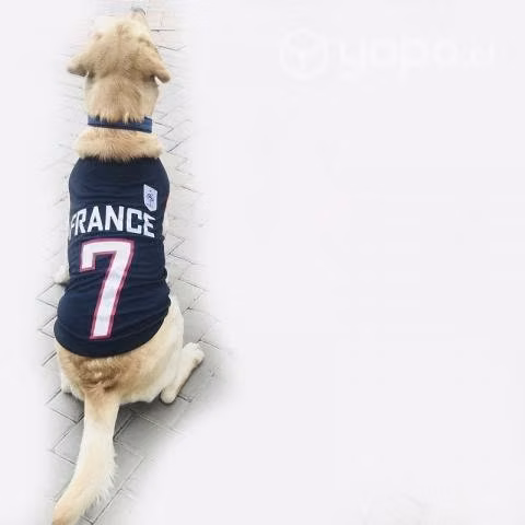 Polera Futbol Mascotas