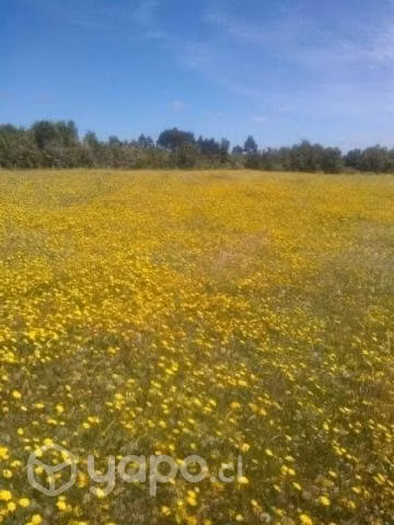 Propiedad en Chiloé