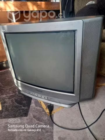 Tv Sony 21 pulgadas - Imagen 3