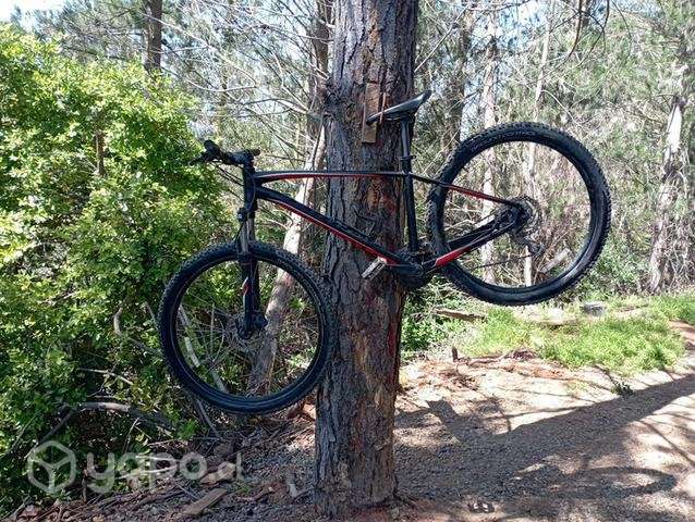 Specialized - Imagen 3