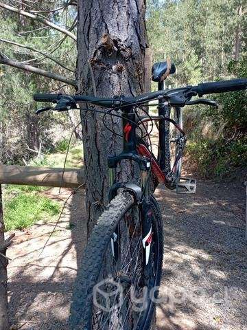 Specialized - Imagen 2