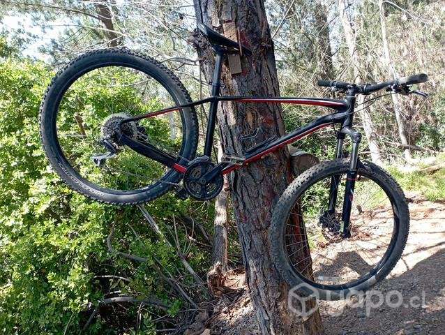 Specialized - Imagen 4