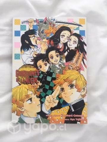 Demon slayer libro