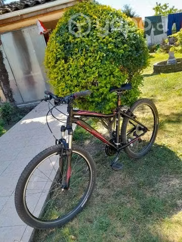 Bicicleta - Imagen 3