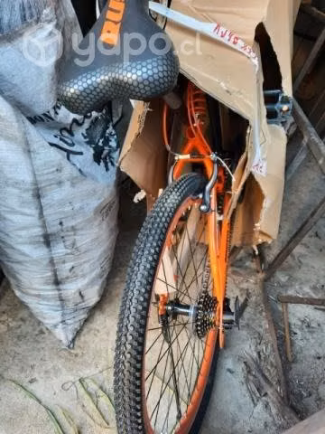 Bicicleta