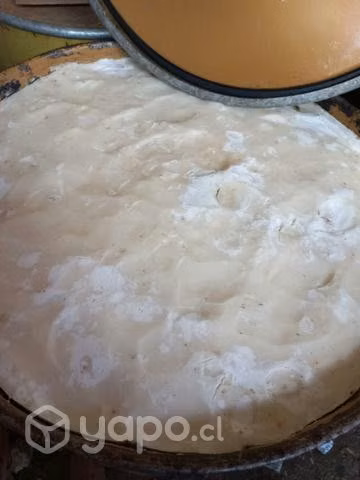 Miel de raps por tambor - Imagen 2