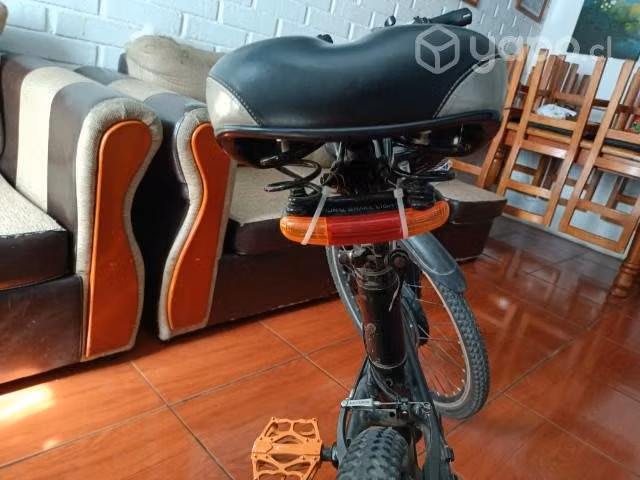 Bicicleta eléctrica asistida
