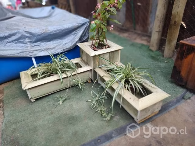 Jardinería