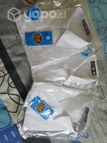 Camisas escolares de niño