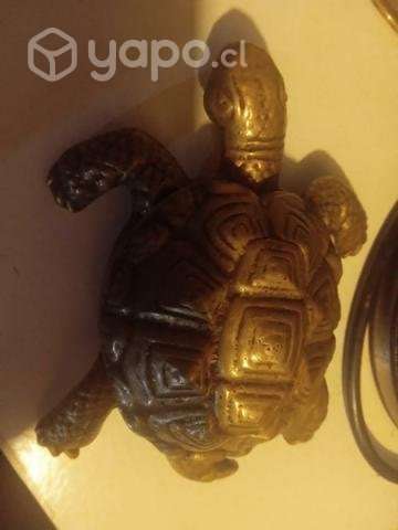 Tortuga de bronce - Imagen 2