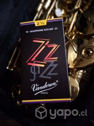 Saxophone Alto marca Baldassare modelo 6430L
