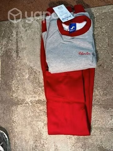 Buzo charles Darwin talla 12 - Imagen 2