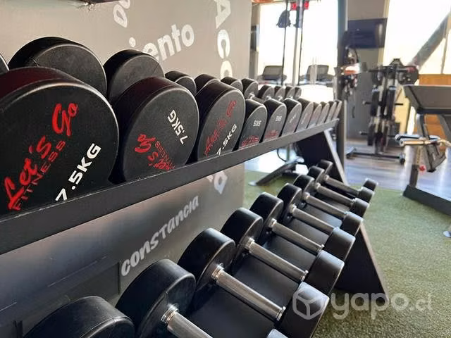 Gimnasio completo y sus equipos