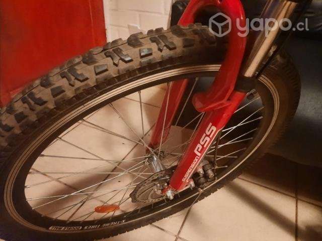 Bicicleta marca paragon (conversable) - Imagen 3