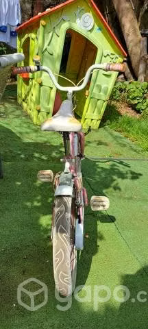 Bicicleta oxford