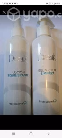 Dermik casmara fontbote