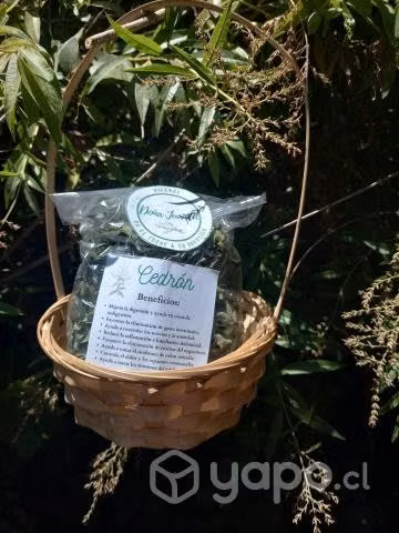Hierbas para infusión