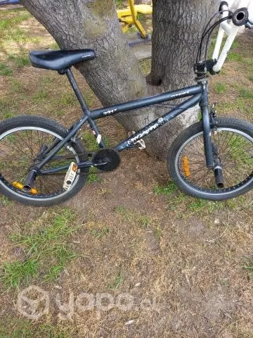 Bmx free style oxford