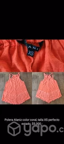 Poleras marca Alaniz - Imagen 2