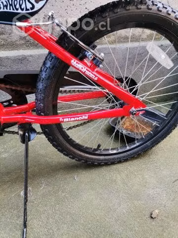 Bicicleta bianchi aro 20
