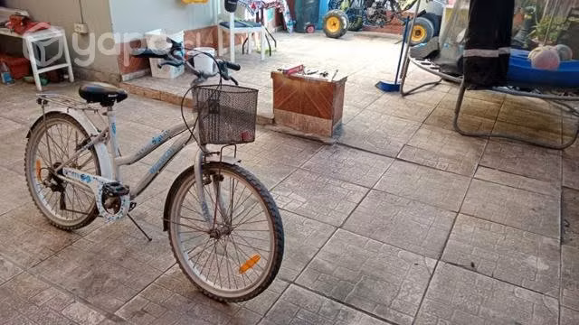 Bicicleta Bianchi aro 24
