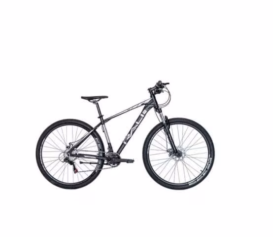 Bicicleta Rali Rio