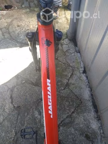 Bicicleta láser Modelo Jaguar Totalmente Nueva