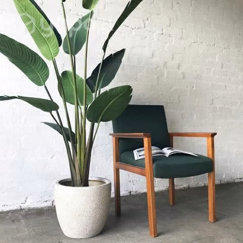 Planta artificial Of paradise