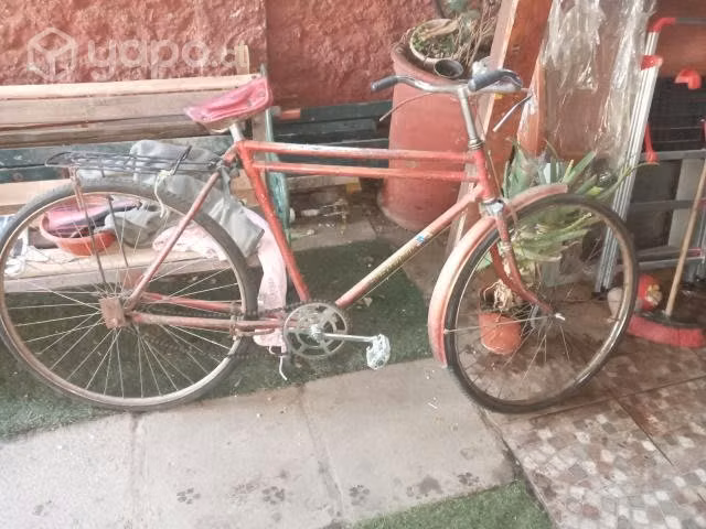 Bicicleta antigua