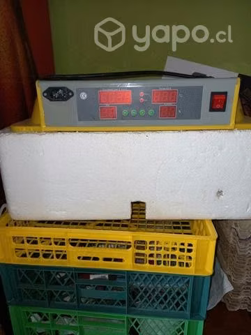 encubadora