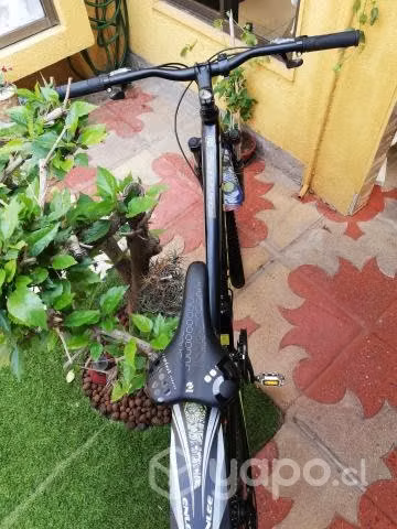 Bicicleta aro 29 bianchi