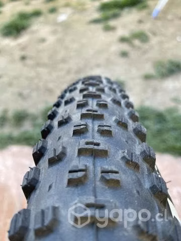 Neumatico mtb 29 WTB Ranger
