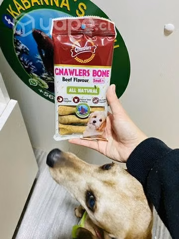 Snaks para perros