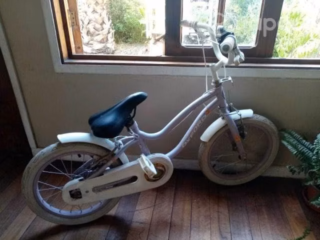 Bicicleta lila