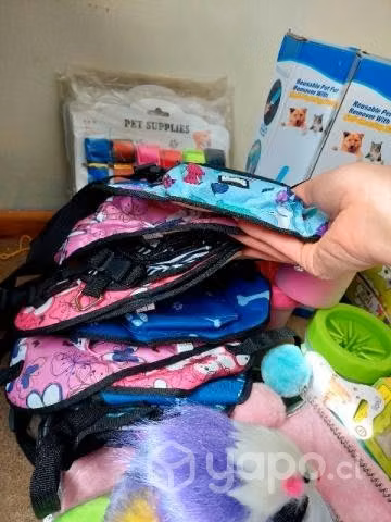 Lote artículos mascotas especial