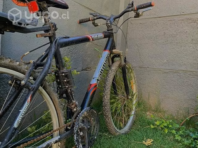 Bicicleta Aaltitude Peak 1000 - Imagen 3