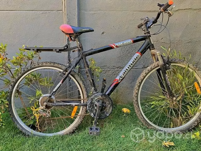 Bicicleta Aaltitude Peak 1000