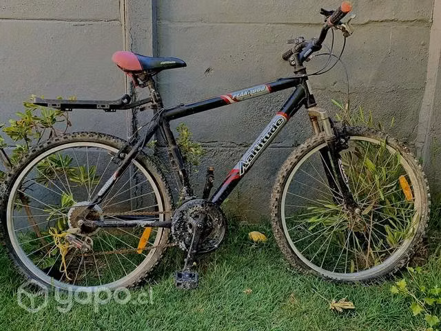 Bicicleta Aaltitude Peak 1000 - Imagen 2
