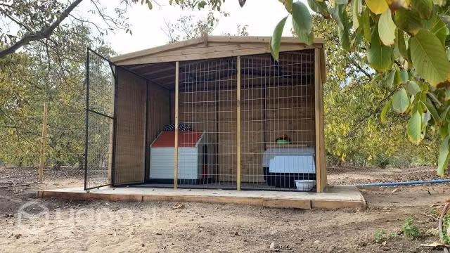 Canil, casa de perro, macotas