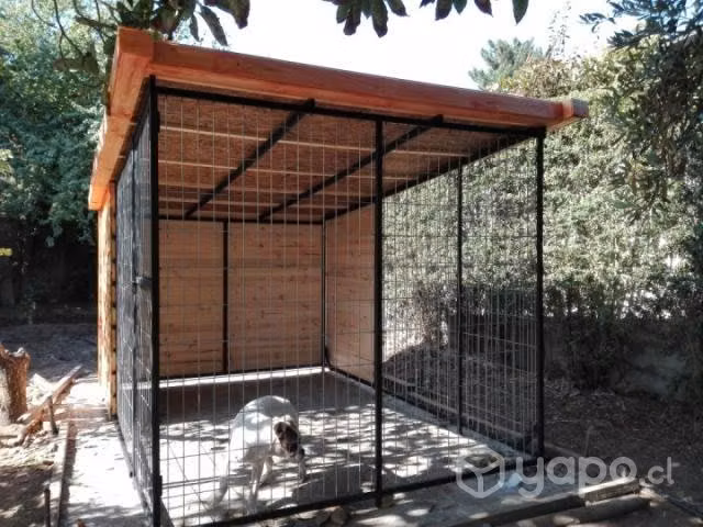 Canil, casa de perro, macotas