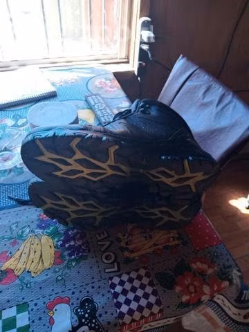 Zapatillas