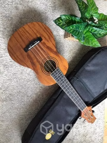 Ukelele Acustico Greg Bennett + Funda - Imagen 2