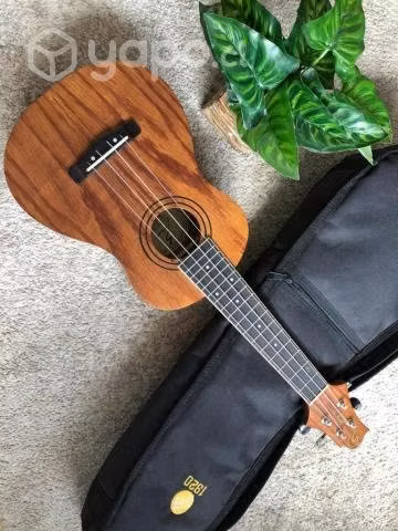 Ukelele Acustico Greg Bennett + Funda - Imagen 3