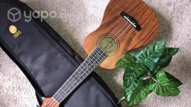 Ukelele Acustico Greg Bennett + Funda