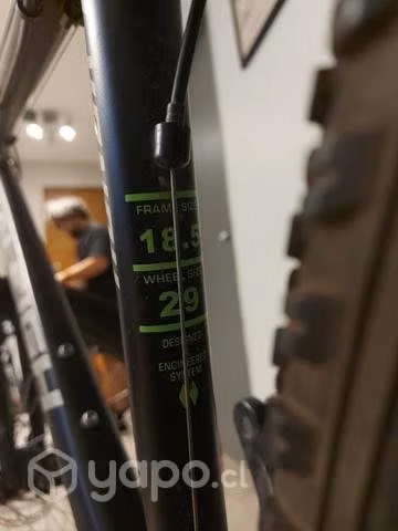 Bicicleta RALEIGH HONOR Aro 29 Talla L - Imagen 4