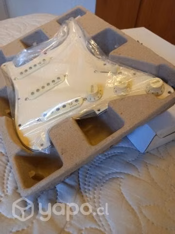 Pickguard Alnico 5