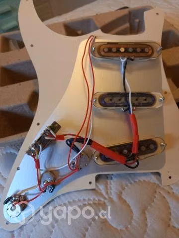 Pickguard Alnico 5